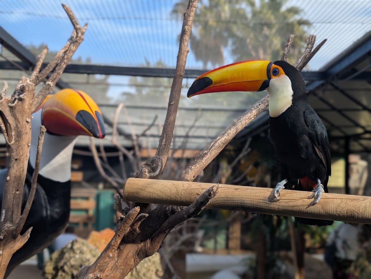 Foto 5 de Jardín del Papagayo