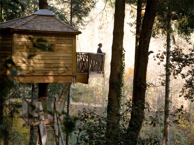 Cabanes als arbres