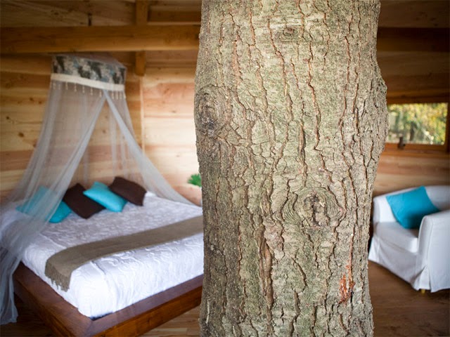 Foto 5 de Cabanes als arbres
