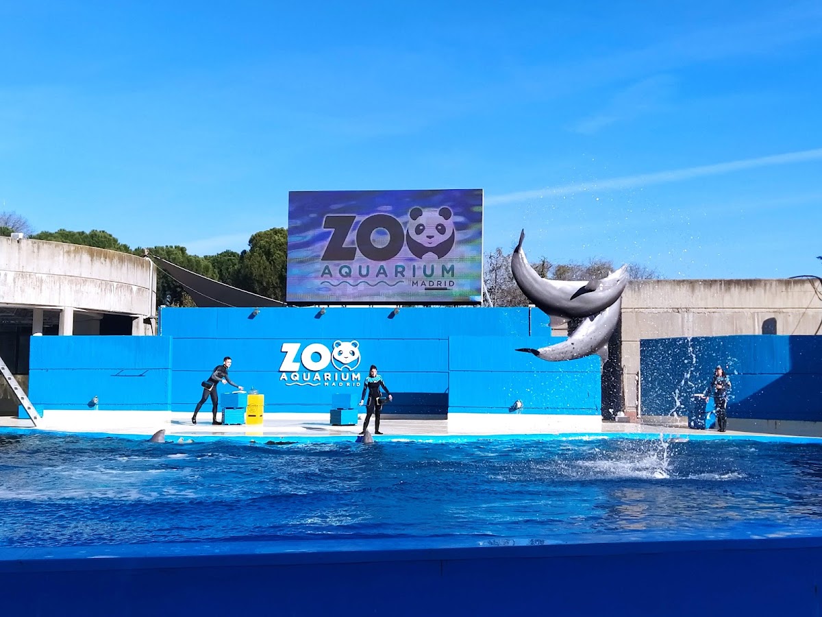 Foto 4 de Zoo Aquarium de Madrid