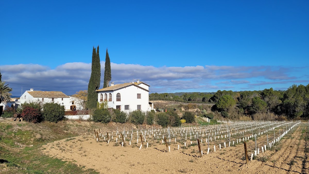 Cellers Carol Vallès
