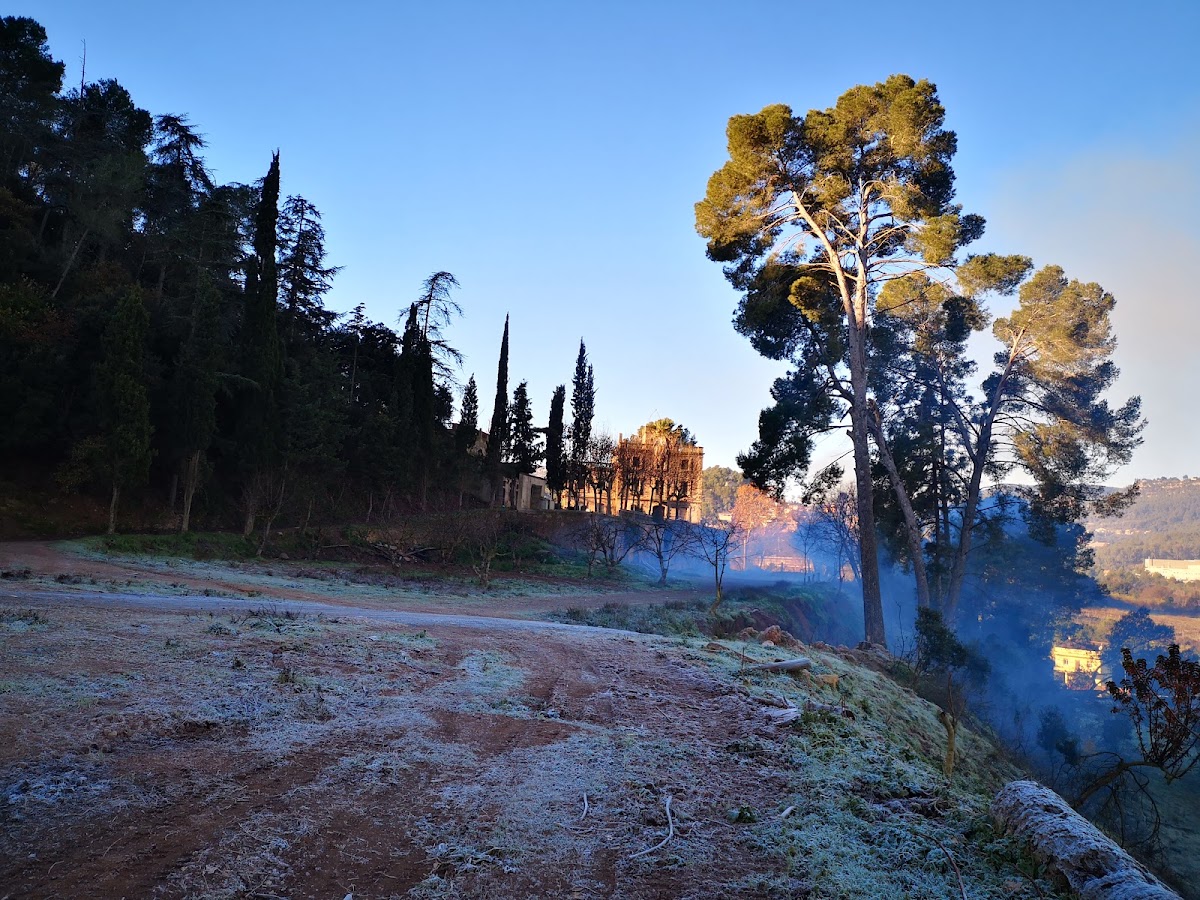 MANSO VENDRELL