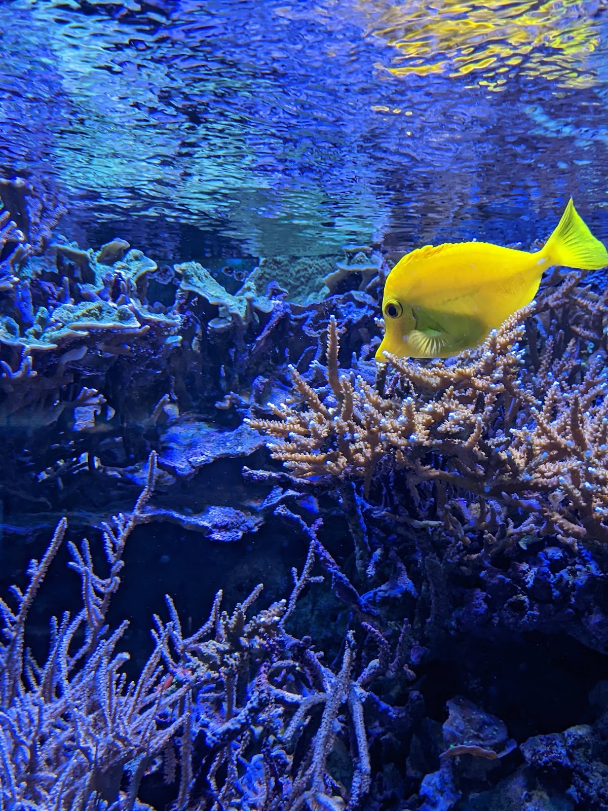 Foto 3 de L'Aquàrium de Barcelona