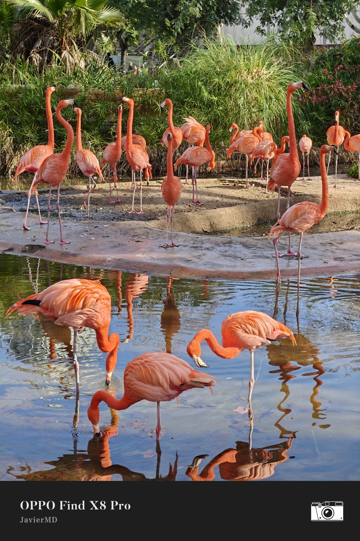 Foto 3 de Zoo de Barcelona