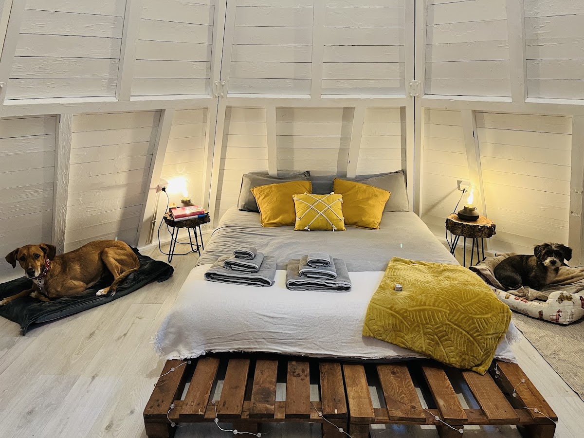 Foto 2 de Glamping The Teepee